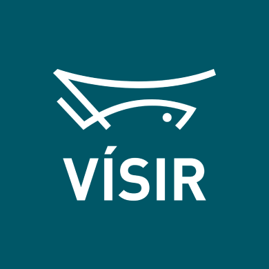 logo-visir-big